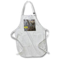 Apron - Caddo Lake, Texas 2 Texas