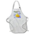 Apron - Washington State, Seabeck. Crocus blossoms in spring 1 Washington State