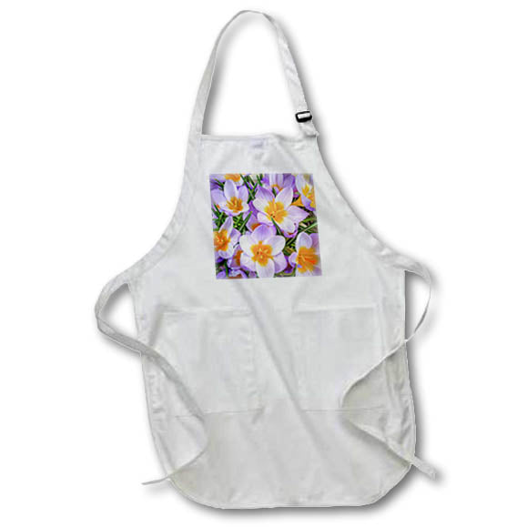 Apron - Washington State, Seabeck. Crocus blossoms in spring 4 Washington State