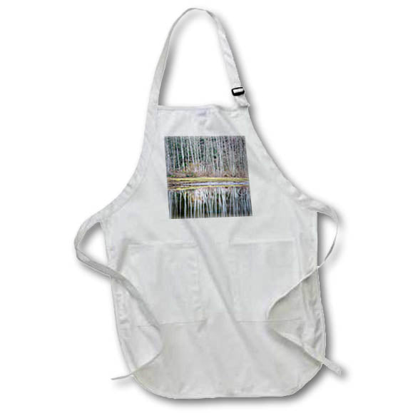 Apron - Washington State, Seabeck. Winter alder trees reflect in Nicks Lagoon Washington State