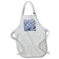 Apron - USA, Washington State, Sammamish. Frost on auto window 4. Washington State