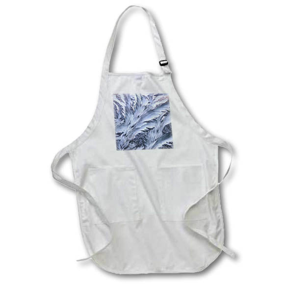 Apron - USA, Washington State, Sammamish. Frost on auto window 4. Washington State