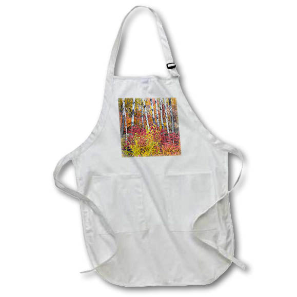 Apron - USA, Washington State. Aspens and wild dogwood in fall. Washington State