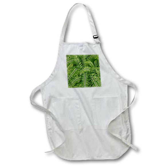 Apron - USA, Washington State. Bellevue Botanical garden Washington State