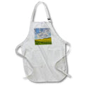 Apron - USA, Washington State, Palouse. Springtime landscape. Canola fields. Washington State