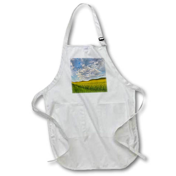 Apron - USA, Washington State, Palouse. Springtime landscape. Canola fields. Washington State