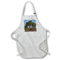 Apron - USA, Washington State, Winthrop, Sun Mountain and lone pine tree. Washington State