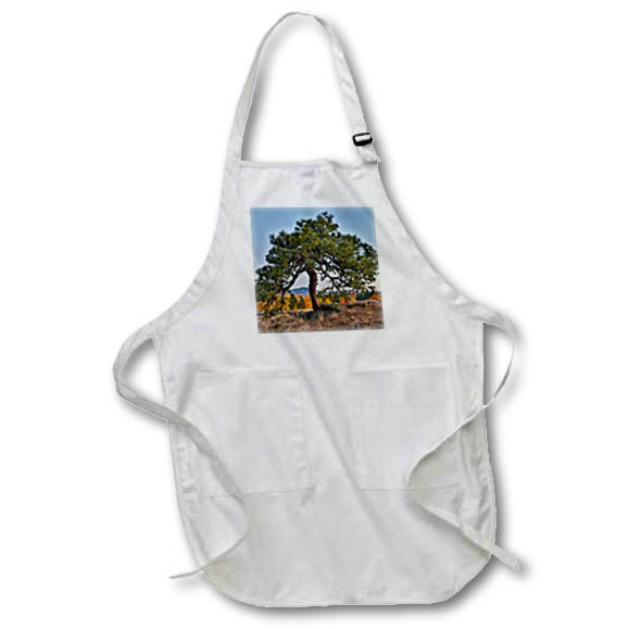 Apron - USA, Washington State, Winthrop, Sun Mountain and lone pine tree. Washington State