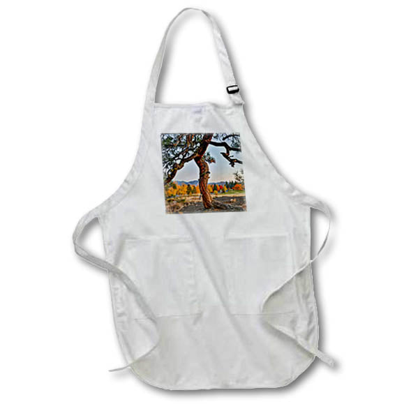 Apron - USA, Washington State, Winthrop, Sun Mountain and lone pine tree Washington State