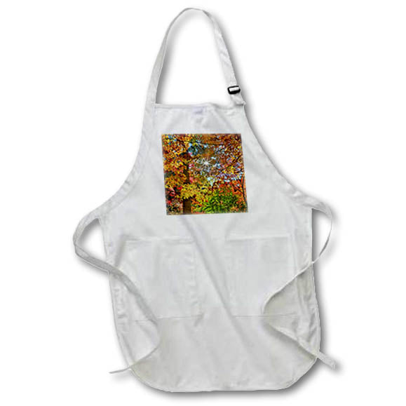 Apron - Washington State, Seattle. Arboretum. Maple trees in full color. Washington State
