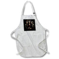 Apron - The Triple Goddess Pagan Women Witchy