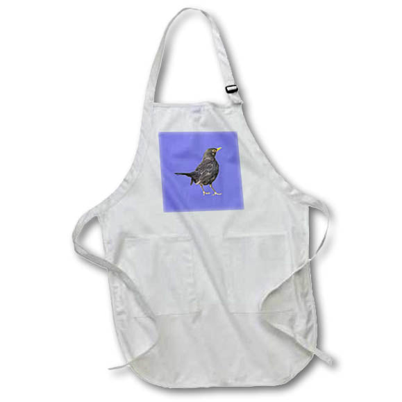 Apron - Blackbird Vector Art Cut Out Vector Art - BlackBird