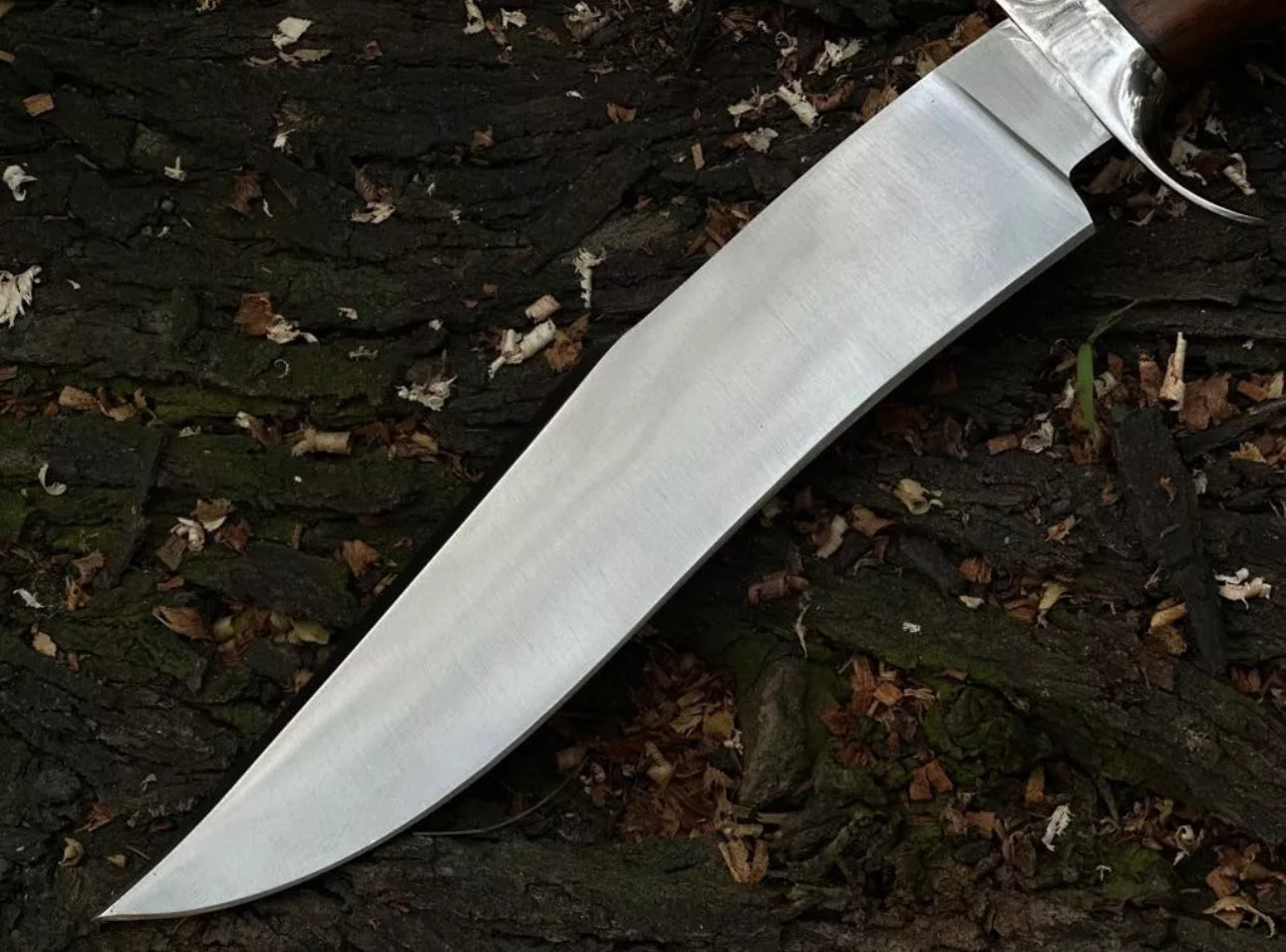 Custom Handmade J2 Steel Bowie Knife with Steel Guard and Rosewood Handle, Includes Leather Sheath