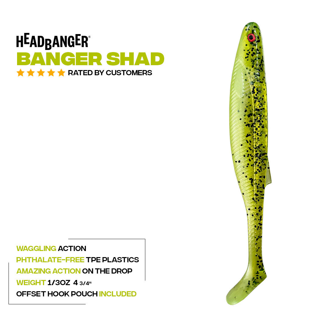 Headbanger BangerShad 4-3/4"