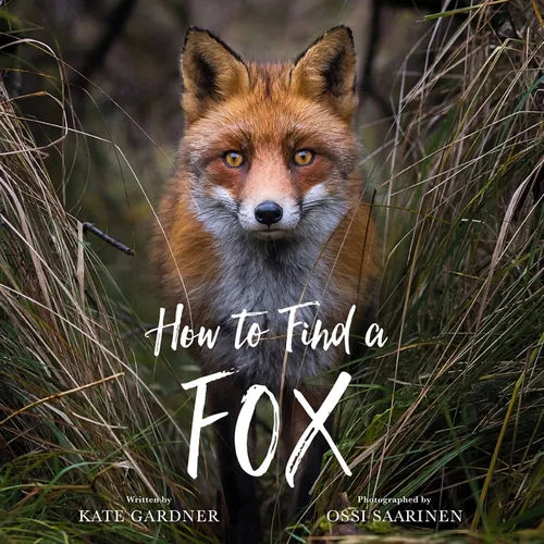 How to Find a Fox - Hardcover