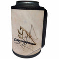 3dRose Taiche - Photography - Insects - Praying Mantis and Shadow - Can Cooler Bottle Wrap (cc_243163)