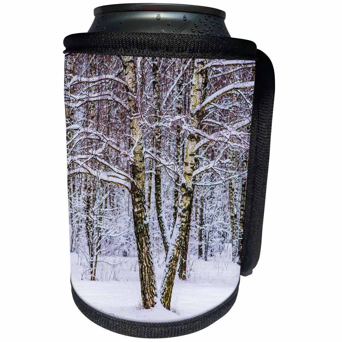 3dRose Alexis Photography - Winter - Two birch trees in a winter forest. Color - Can Cooler Bottle Wrap (cc_264175)