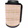 3dRose PS Chic - Gold Peach Stripes - Can Cooler Bottle Wrap (cc_265777)