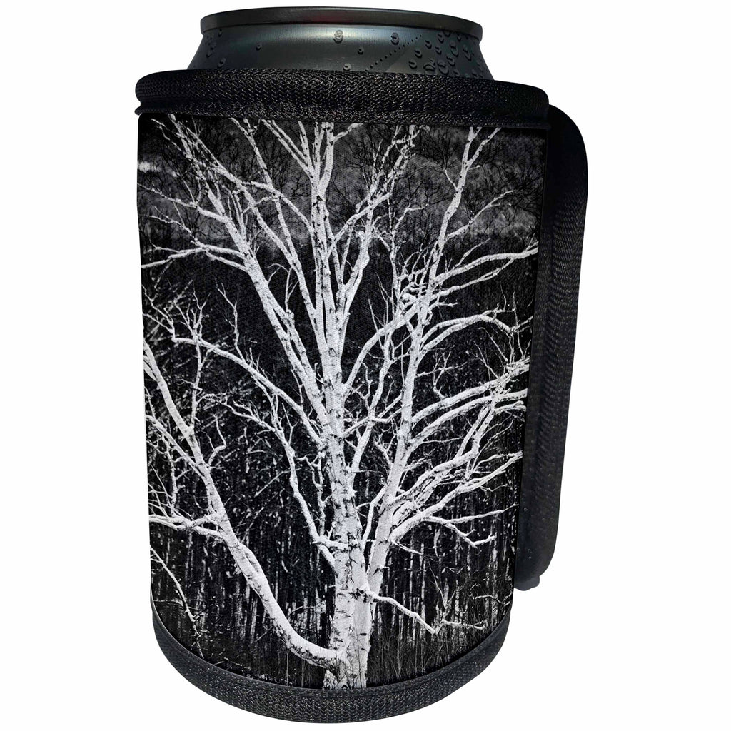 3dRose TDSwhite – Miscellaneous Photography - White Birch Tree - Can Cooler Bottle Wrap (cc_285342)