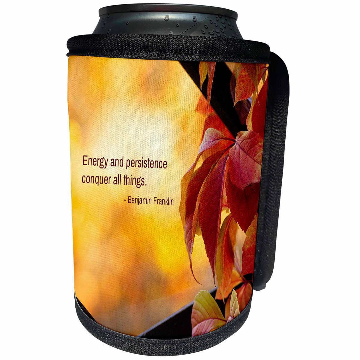 3dRose Alexis Design - Quotes Inspirational - Energy and persistence conquer all things Benjamin Franklin quote - Can Cooler Bottle Wrap (cc_301213)
