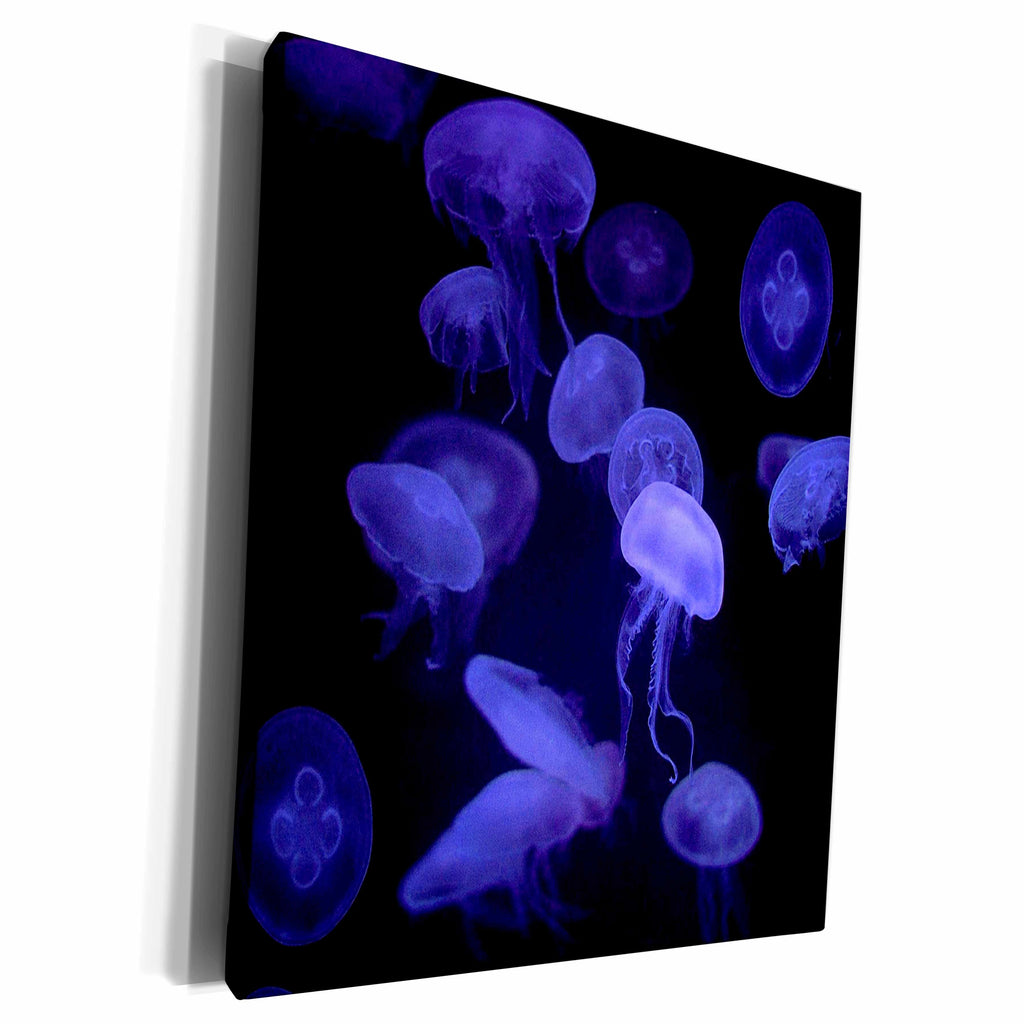 3dRose Deep violet jellyfish in dark ocean - Museum Grade Canvas Wrap (cw_100175)