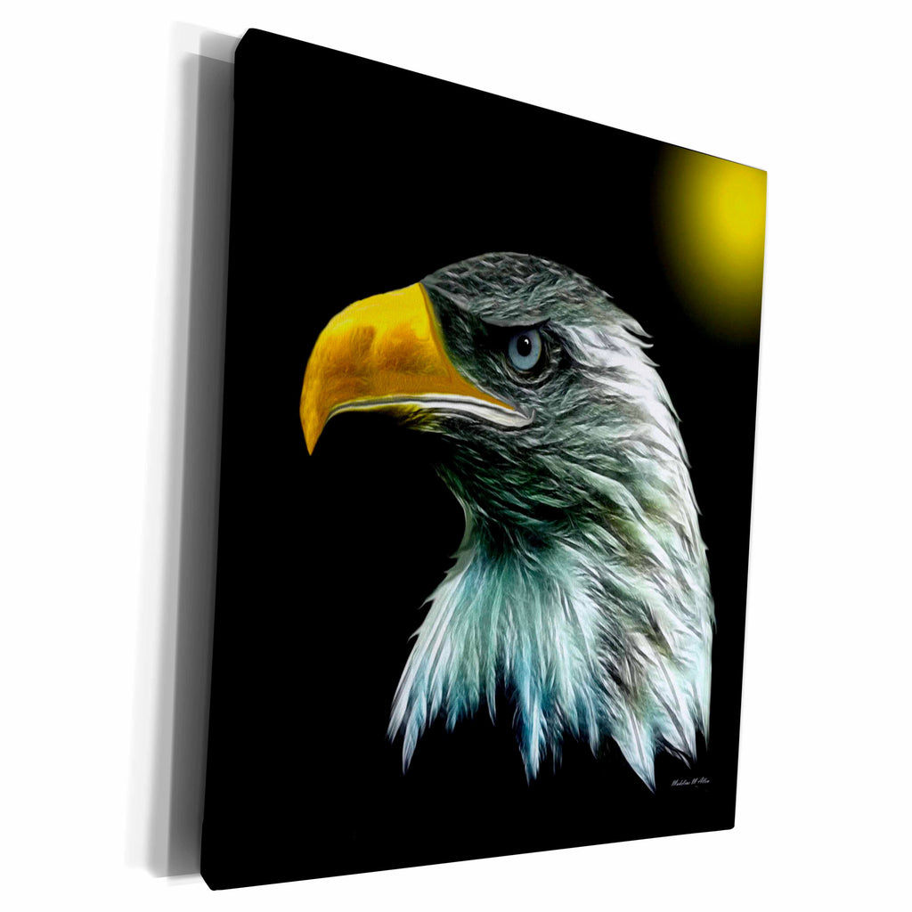 3dRose Protector - Eagle On A Black Background - Museum Grade Canvas Wrap (cw_101126)