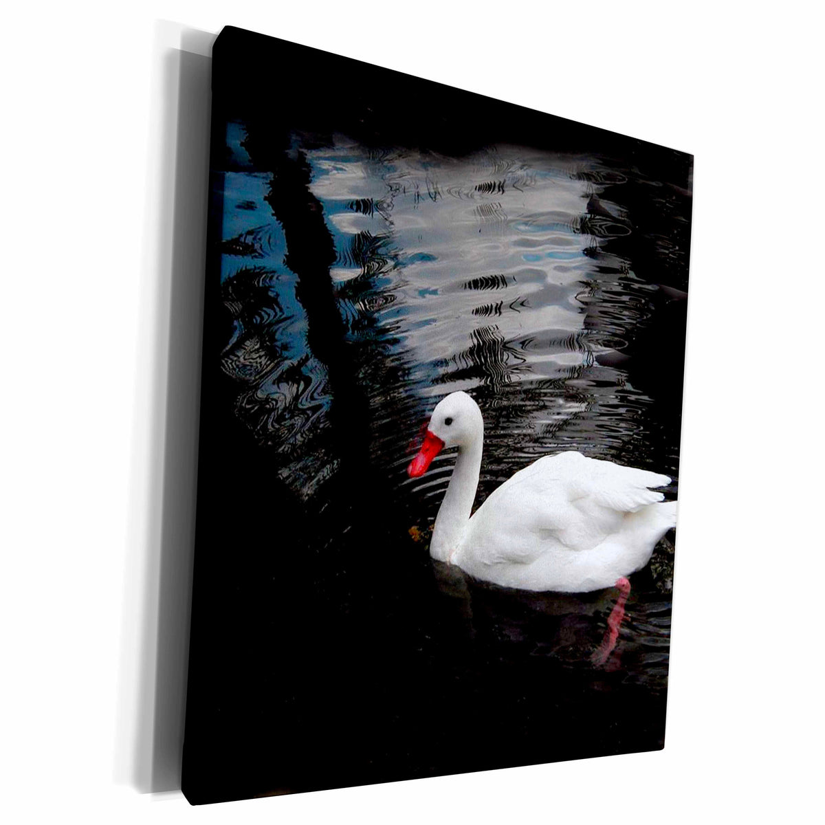 3dRose Birds - White Duck - Museum Grade Canvas Wrap (cw_1015)