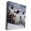 3dRose Kike Calvo Penguin - Gentoo Penguin - Museum Grade Canvas Wrap (cw_10511)