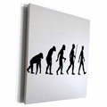3dRose EvaDane - Funny Pictures - Evolution of Man - Museum Grade Canvas Wrap (cw_108362)