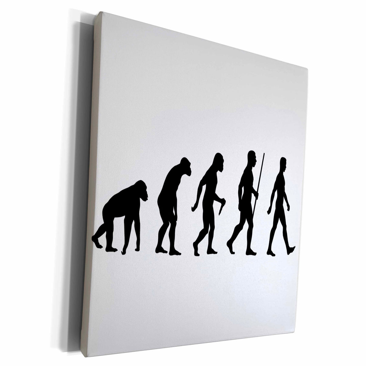 3dRose EvaDane - Funny Pictures - Evolution of Man - Museum Grade Canvas Wrap (cw_108362)