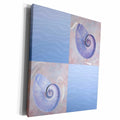 3dRose PS Beach - Dolphins with Shells - Beach Themed Art - Museum Grade Canvas Wrap (cw_108745)