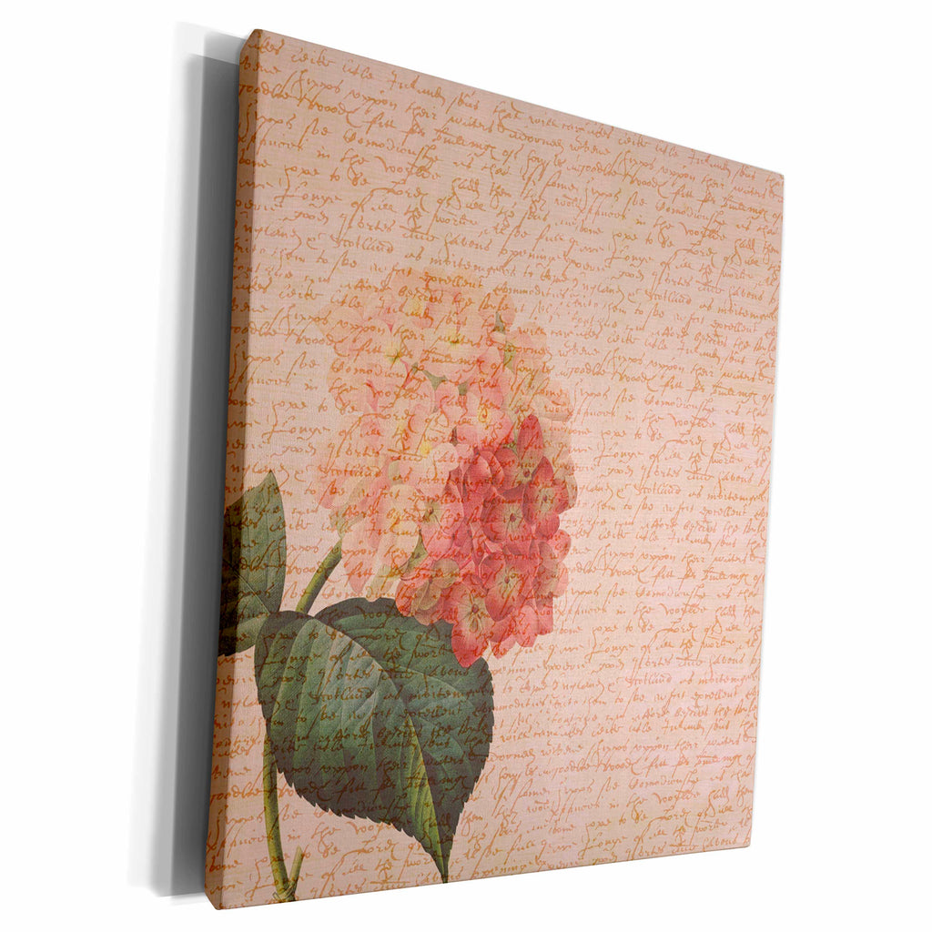 3dRose Hydrangea with script vintage flowers - Museum Grade Canvas Wrap (cw_110292)