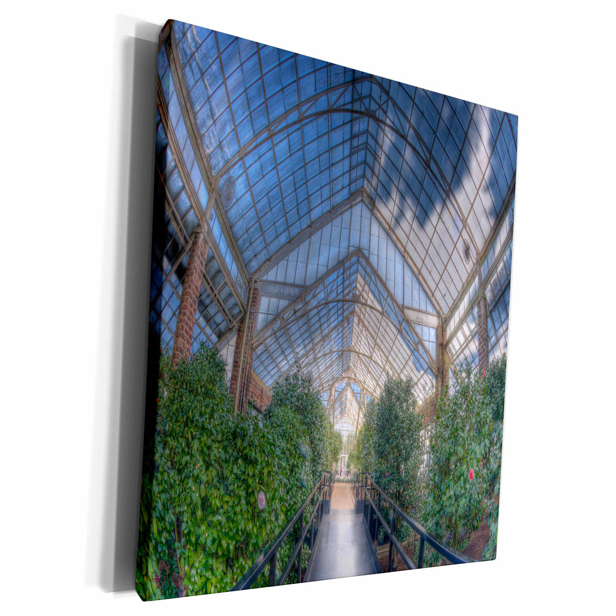 3dRose Roni Chastain Floral - Greenhouse, filled with trees, clouds - Museum Grade Canvas Wrap (cw_112485)