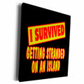 3dRose I Survived Getting Stranded On An Island Survial... - Museum Grade Canvas Wrap (cw_117965)