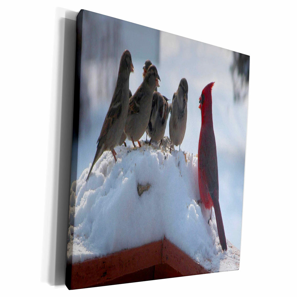 3dRose Choir Pratice, Cardinal and Sparrows - Museum Grade Canvas Wrap (cw_11884)