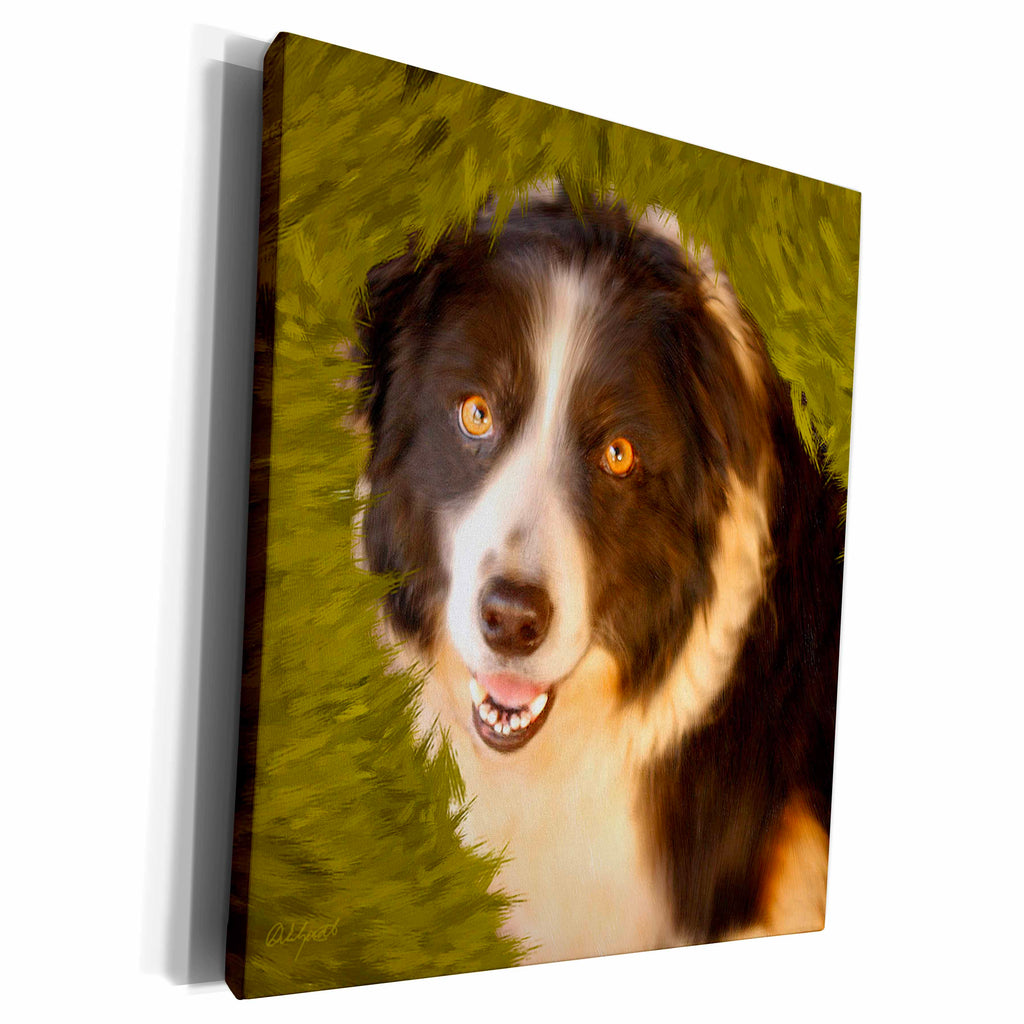 3dRose Doreen Erhardt Dogs - Border Collie - Museum Grade Canvas Wrap (cw_11977)