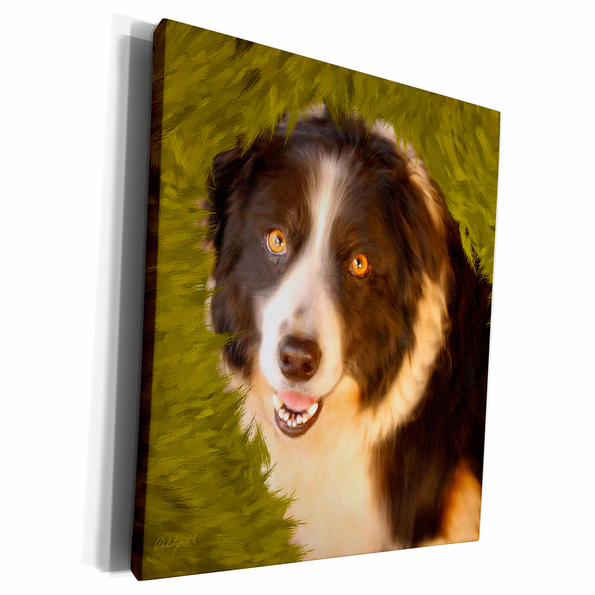 3dRose Doreen Erhardt Dogs - Border Collie - Museum Grade Canvas Wrap (cw_11977)