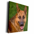 3dRose Doreen Erhardt Dogs - German Shepard - Museum Grade Canvas Wrap (cw_11979)