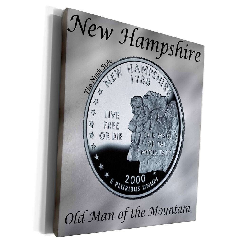 3dRose State Quarter New Hampshire - Museum Grade Canvas Wrap (cw_120123)