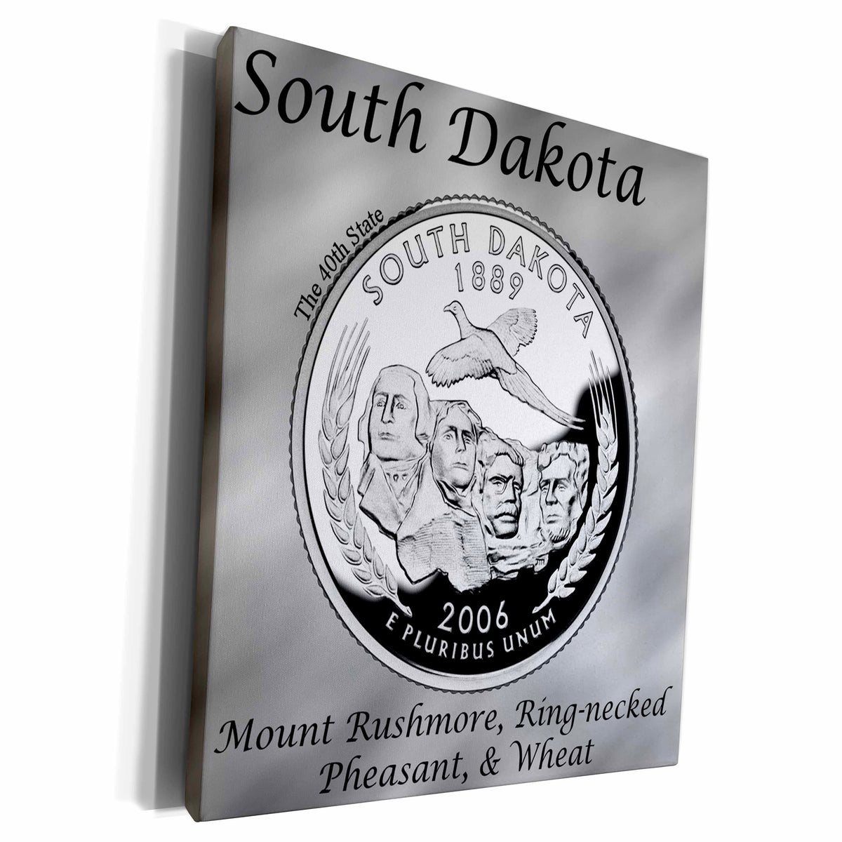 3dRose State Quarter South Dakota - Museum Grade Canvas Wrap (cw_120154)