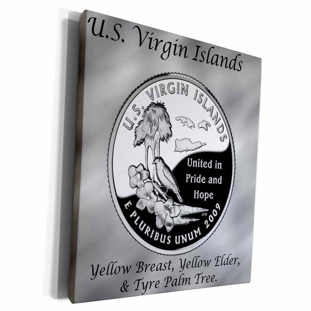 3dRose Territories Quarter US Virgin Islands - Museum Grade Canvas Wrap (cw_120169)