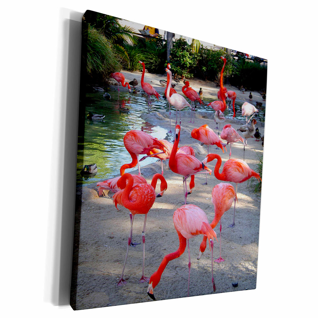 3dRose Birds - Flamingos - Museum Grade Canvas Wrap (cw_1223)