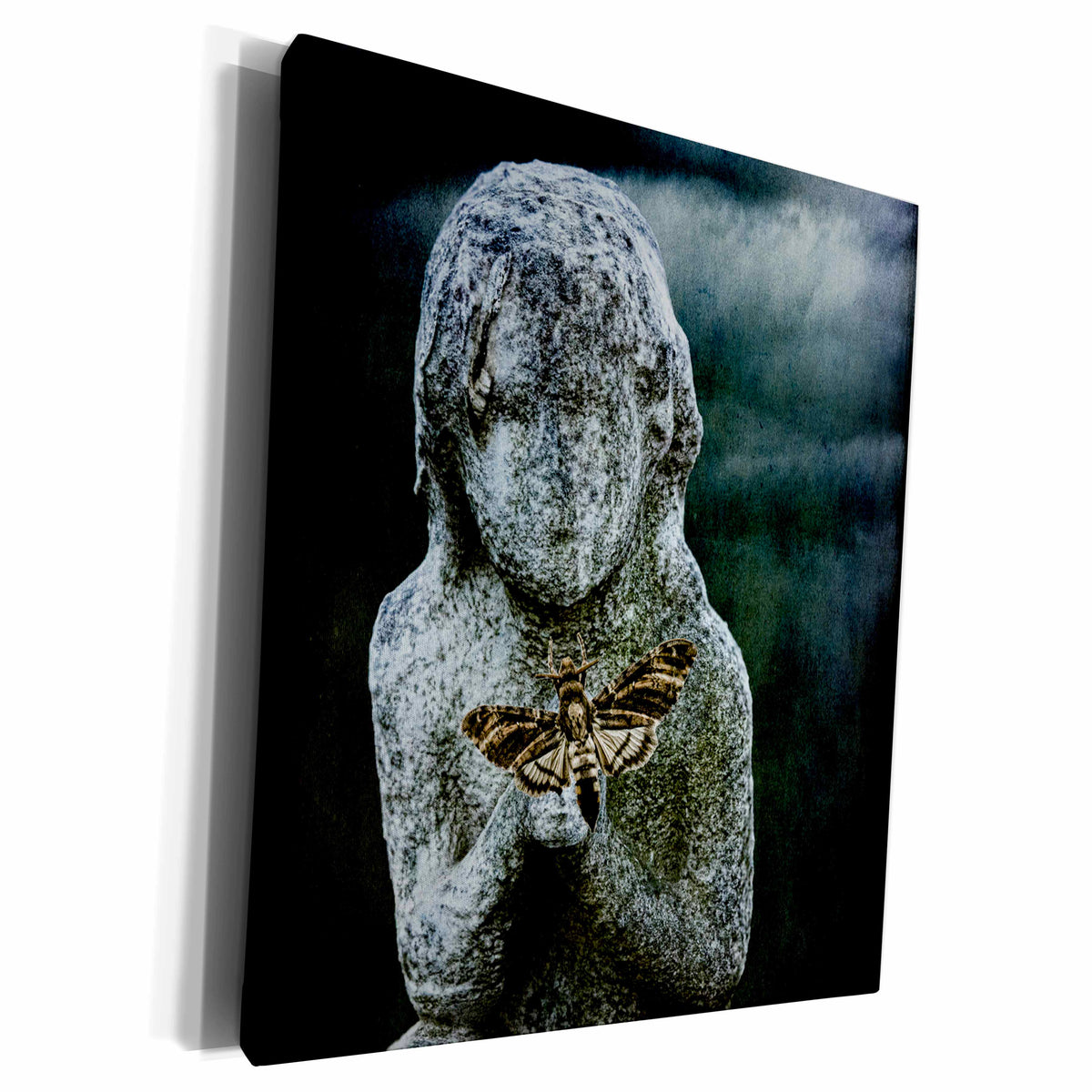3dRose Statue Child Faceless Moth Deaths Head Moon - Museum Grade Canvas Wrap (cw_123881)