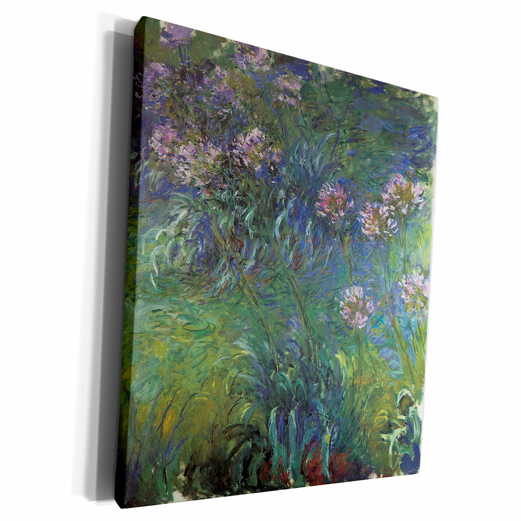 3dRose Agapanthus by Claude Monet 1916-17 - Museum Grade Canvas Wrap (cw_126643)
