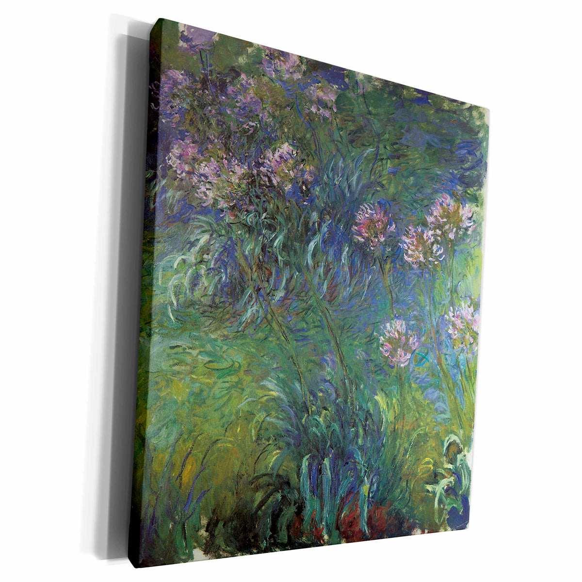 3dRose Agapanthus by Claude Monet 1916-17 - Museum Grade Canvas Wrap (cw_126643)