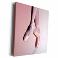 3dRose Dance - Ballet Slippers - Museum Grade Canvas Wrap (cw_1277)