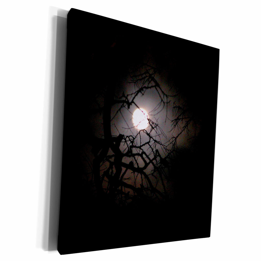 3dRose Beverly Turner Photography - Moon Through the Tree - Museum Grade Canvas Wrap (cw_13036)