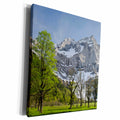 3dRose Sycamore maple trees, Karwendel mountains, Austria -... - Museum Grade Canvas Wrap (cw_135472)
