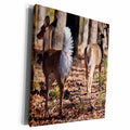 3dRose Two White Tail Deer - Museum Grade Canvas Wrap (cw_14003)