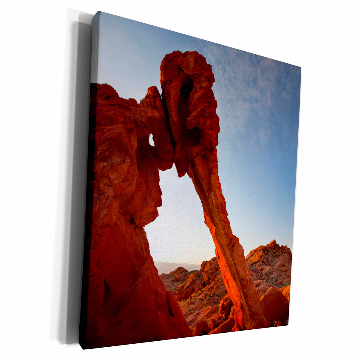 3dRose USA Nevada Valley of Fire, Elephant Rock formation -... - Museum Grade Canvas Wrap (cw_145022)